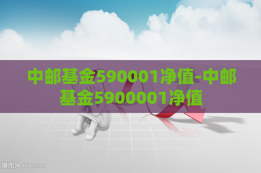 中邮基金590001净值-中邮基金5900001净值  第1张