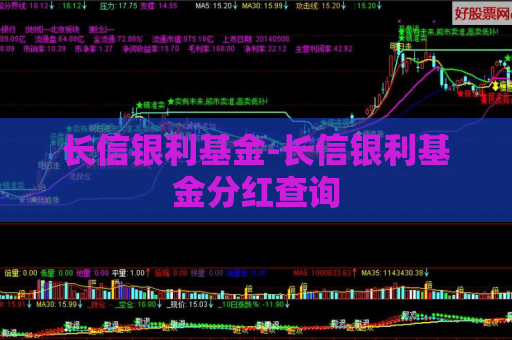 长信银利基金-长信银利基金分红查询  第1张