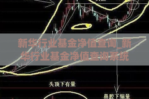 新华行业基金净值查询_新华行业基金净值查询系统  第1张