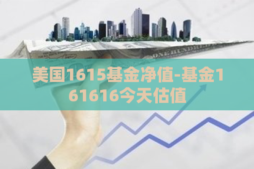 美国1615基金净值-基金161616今天估值  第1张