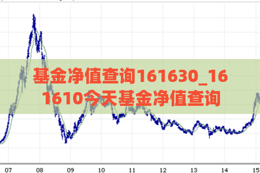 基金净值查询161630_161610今天基金净值查询  第1张