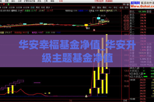 华安幸福基金净值_华安升级主题基金净值  第1张