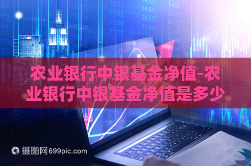 农业银行中银基金净值-农业银行中银基金净值是多少  第1张