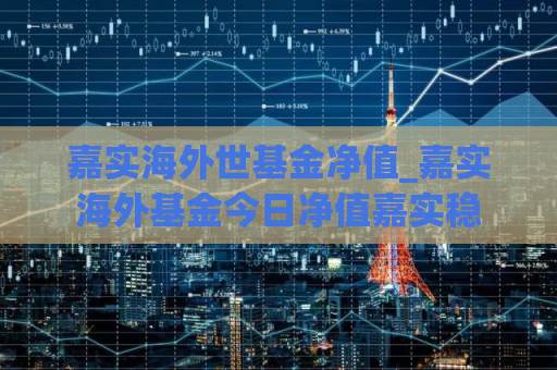 嘉实海外世基金净值_嘉实海外基金今日净值嘉实稳  第1张