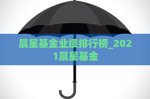 晨星基金业绩排行榜_2021晨星基金  第1张