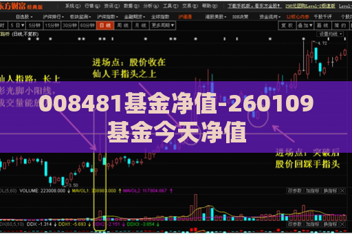 008481基金净值-260109基金今天净值  第1张