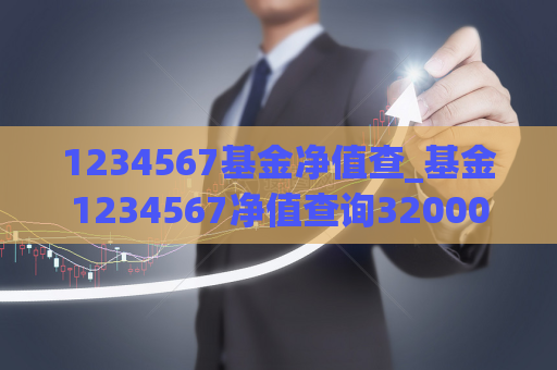 1234567基金净值查_基金1234567净值查询320005