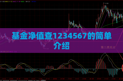 基金净值查1234567的简单介绍