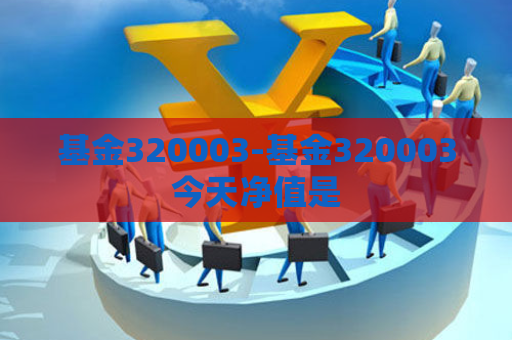 基金320003-基金320003今天净值是  第1张