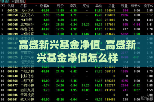 高盛新兴基金净值_高盛新兴基金净值怎么样  第1张