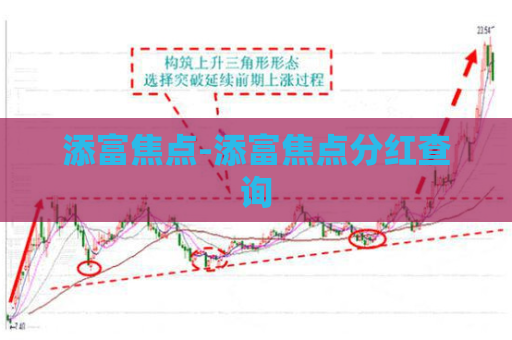 添富焦点-添富焦点分红查询  第1张