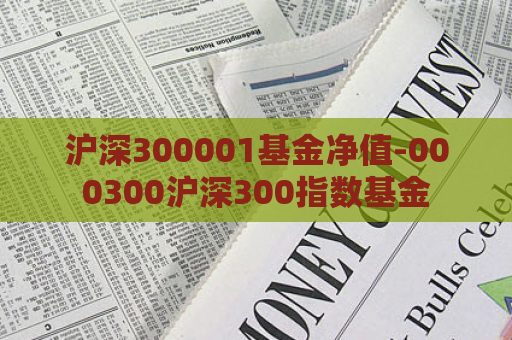 沪深300001基金净值-000300沪深300指数基金  第1张