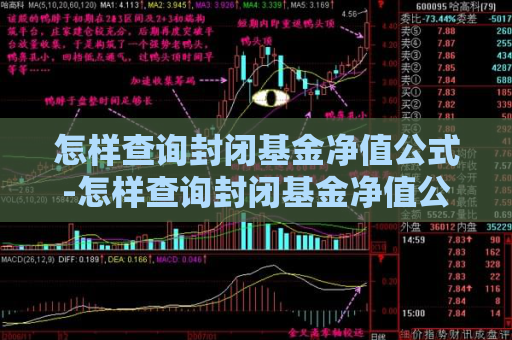 怎样查询封闭基金净值公式-怎样查询封闭基金净值公式表  第1张