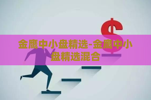 金鹰中小盘精选-金鹰中小盘精选混合