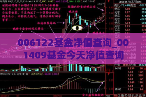 006122基金净值查询_001409基金今天净值查询  第1张