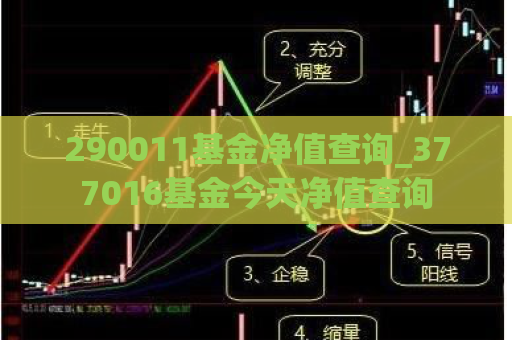 290011基金净值查询_377016基金今天净值查询  第1张