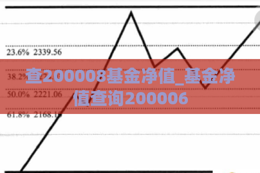 查200008基金净值_基金净值查询200006  第1张