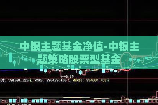 中银主题基金净值-中银主题策略股票型基金  第1张