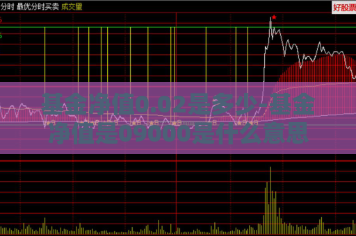 基金净值0.02是多少-基金净值是09000是什么意思  第1张