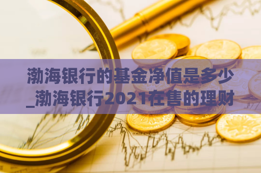 渤海银行的基金净值是多少_渤海银行2021在售的理财产品