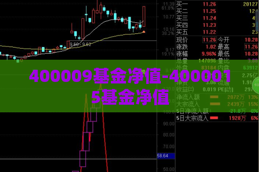 400009基金净值-4000015基金净值  第1张