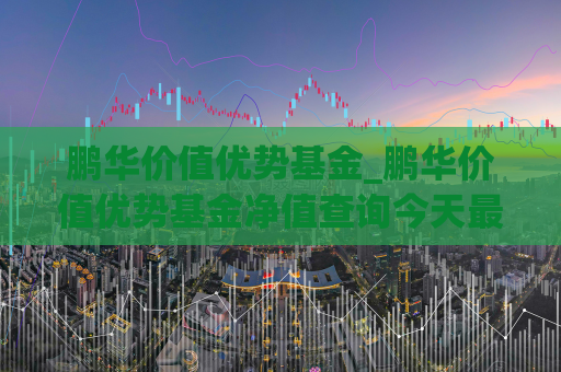 鹏华价值优势基金_鹏华价值优势基金净值查询今天最新净值  第1张