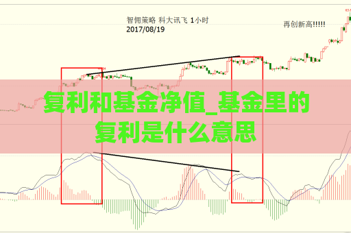 复利和基金净值_基金里的复利是什么意思  第1张