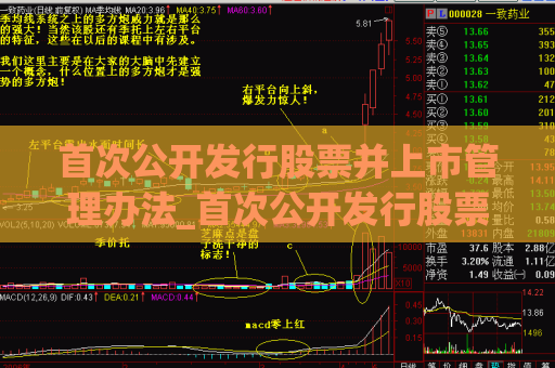 首次公开发行股票并上市管理办法_首次公开发行股票并上市条件  第1张