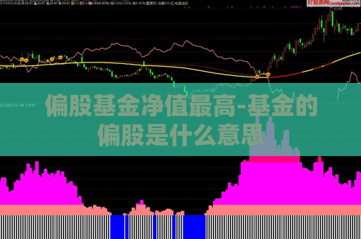 偏股基金净值最高-基金的偏股是什么意思