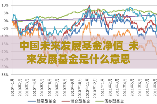 中国未来发展基金净值_未来发展基金是什么意思  第1张