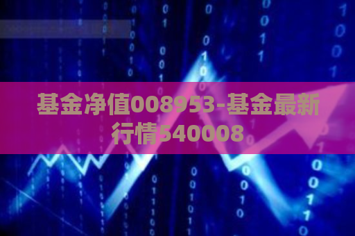 基金净值008953-基金最新行情540008