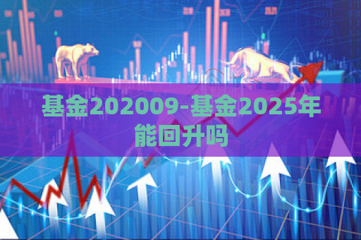 基金202009-基金2025年能回升吗  第1张