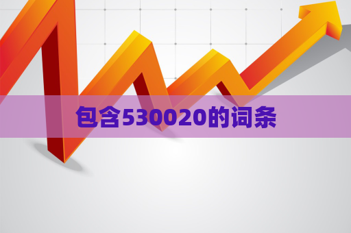 包含530020的词条  第1张