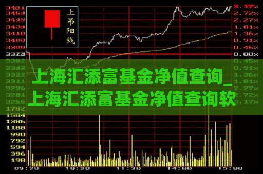 上海汇添富基金净值查询_上海汇添富基金净值查询软件  第1张