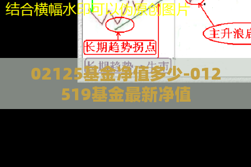 02125基金净值多少-012519基金最新净值  第1张