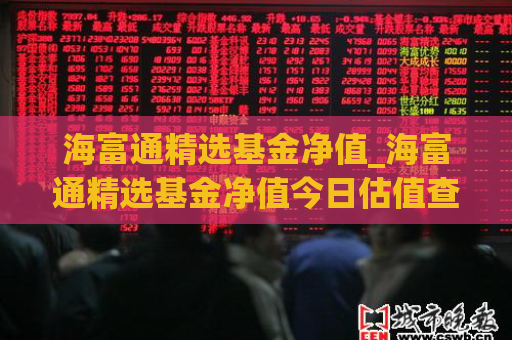 海富通精选基金净值_海富通精选基金净值今日估值查询  第1张