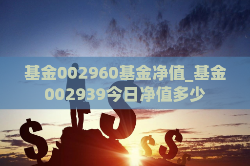 基金002960基金净值_基金002939今日净值多少  第1张