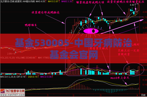 基金530005-中国牙病防治基金会官网  第1张