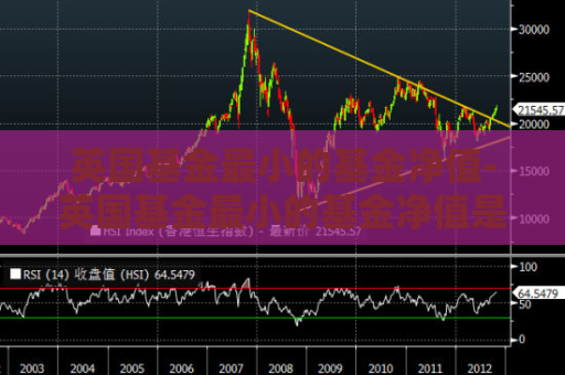 英国基金最小的基金净值-英国基金最小的基金净值是什么  第1张