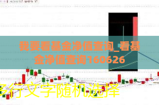 我要看基金净值查询_看基金净值查询160626  第1张