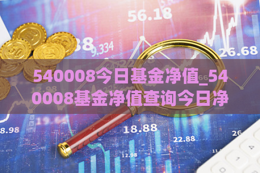 540008今日基金净值_540008基金净值查询今日净值  第1张