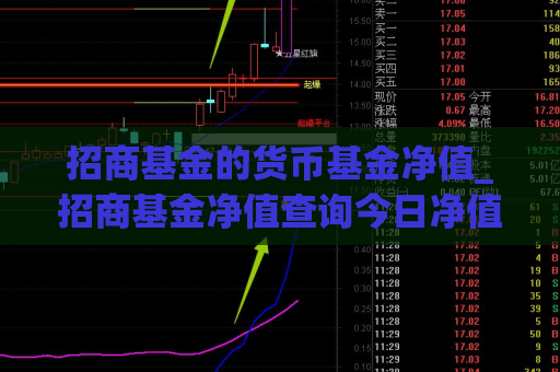 招商基金的货币基金净值_招商基金净值查询今日净值  第1张