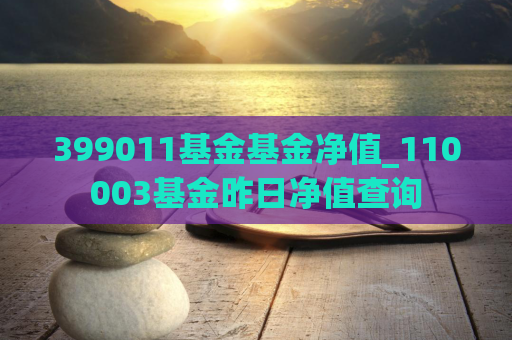 399011基金基金净值_110003基金昨日净值查询  第1张