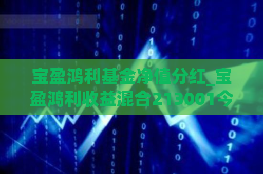 宝盈鸿利基金净值分红_宝盈鸿利收益混合213001今日净值  第1张