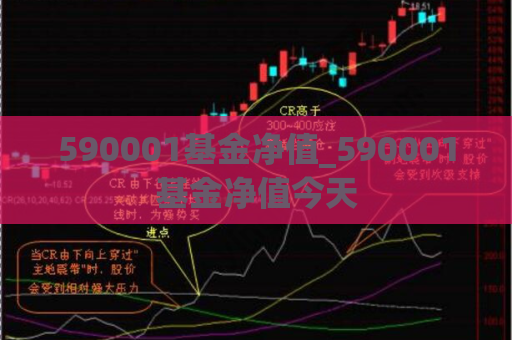 590001基金净值_590001基金净值今天  第1张