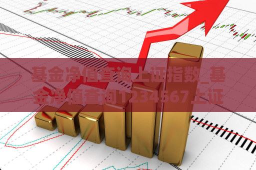 基金净值查询上证指数_基金净值查询1234567上证指数  第1张