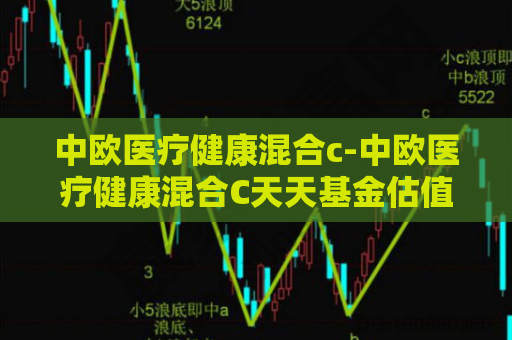 中欧医疗健康混合c-中欧医疗健康混合C天天基金估值网  第1张