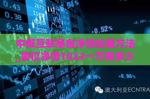 中概互联基金净值估算方法_单位净值1023一万有多少  第1张