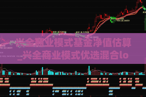 兴全商业模式基金净值估算_兴全商业模式优选混合lof  第1张