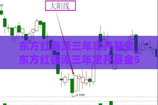 东方红睿泽三年定开基金_东方红睿泽三年定开基金501049  第1张